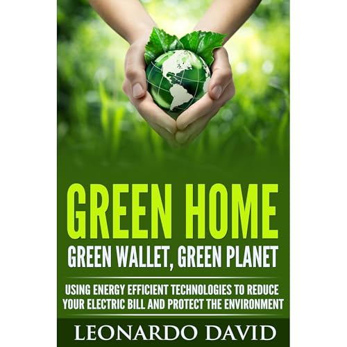 Green Home, Green Wallet, Green Planet by Leonardo David