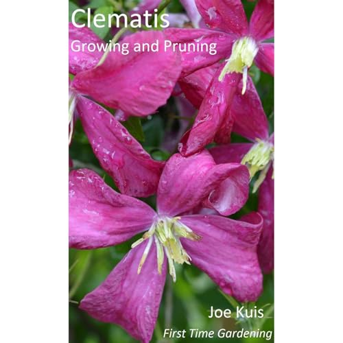 Clematis by Joe Kuis