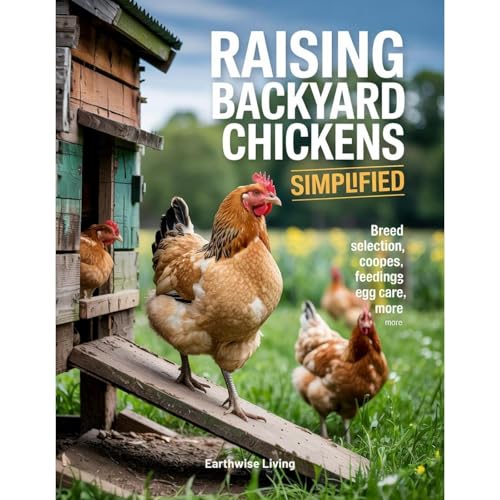 Raising Backyard Chickens Simplified