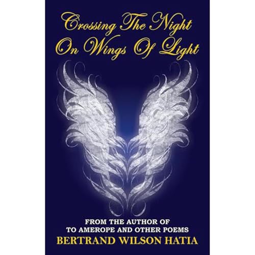 Crossing the Night on Wings of Light by Bertrand Hatia