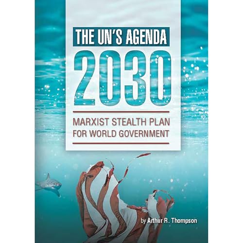 THE UN’S AGENDA 2030