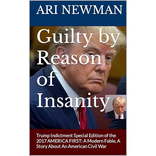 Guilty by Reason of Insanity by Ari Newman