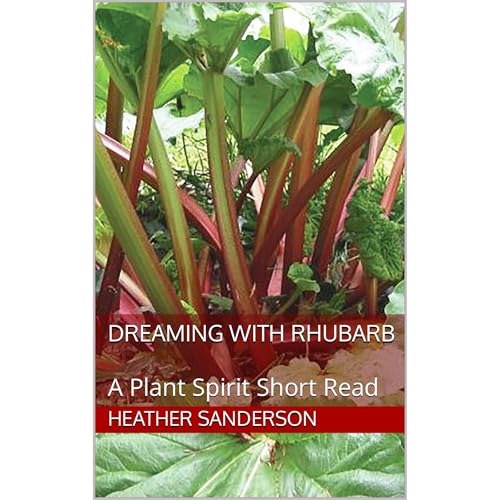 Dreaming with Rhubarb