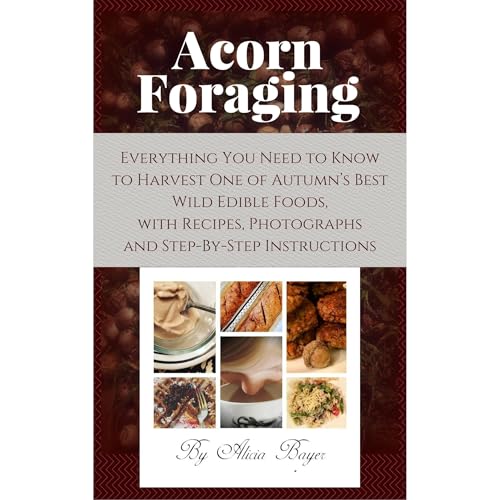 Acorn Foraging by Alicia Bayer