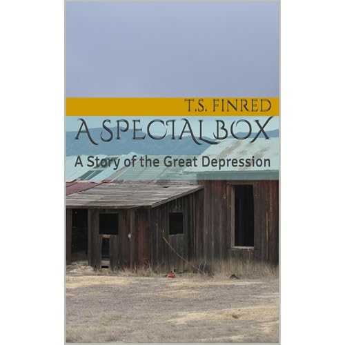 A Special Box by T.S. Finred