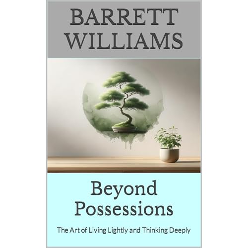 Beyond Possessions by Barrett Williams