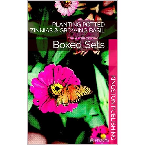 Planting Glossy Potted Zinnias & Growing Basil
