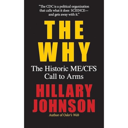 The Why by Hillary Johnson