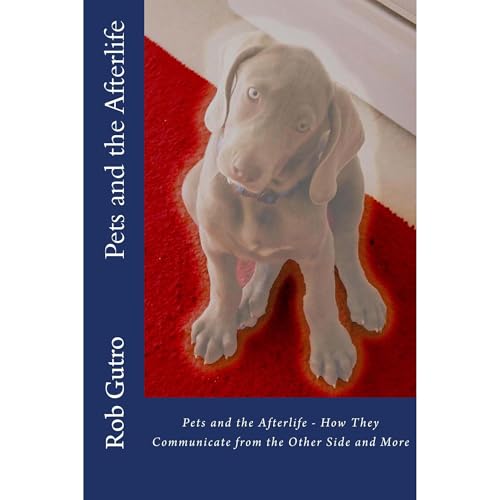 Pets and the Afterlife