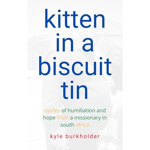 Kitten in a Biscuit Tin