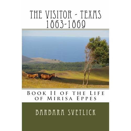 The Visitor - Texas 1863-1869