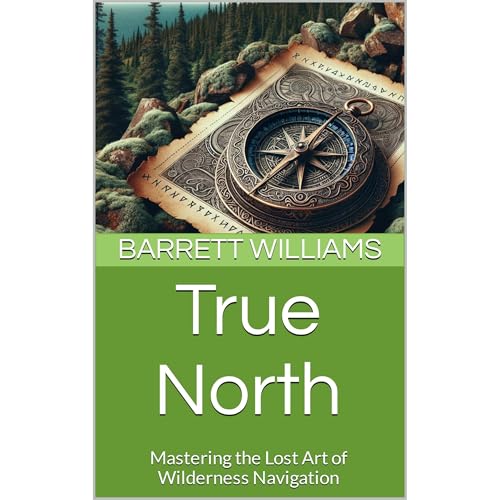 True North by Barrett Williams