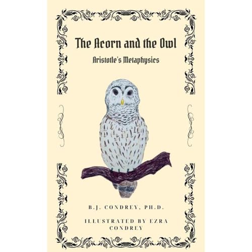 The Acorn and the Owl