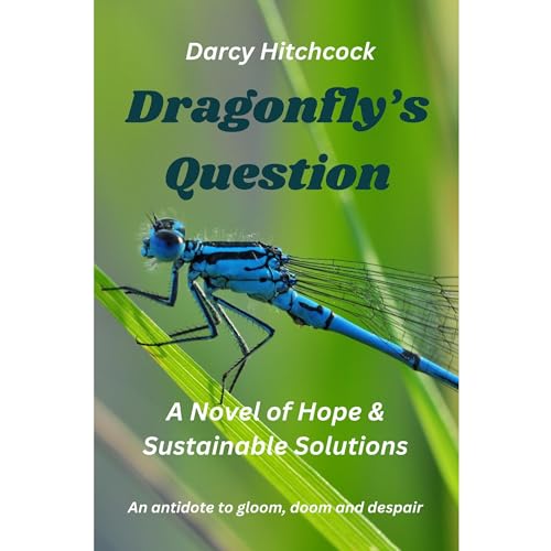 Dragonfly's Question by Darcy Hitchcock