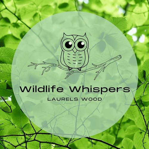 Wildlife Whispers by Laurels Wood