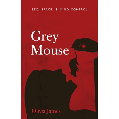 Grey Mouse by Olivia James