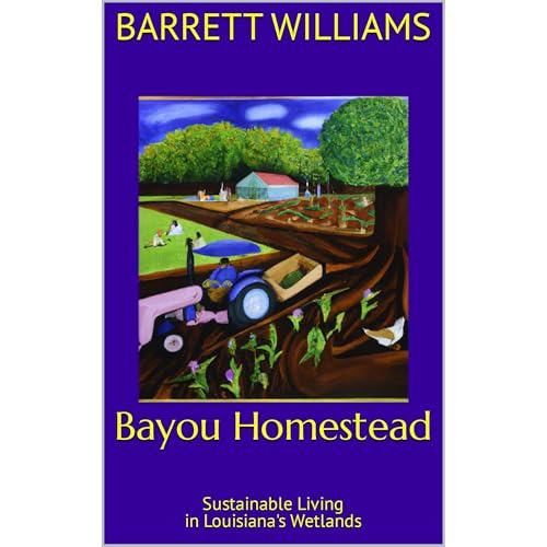 Bayou Homestead by Barrett Williams