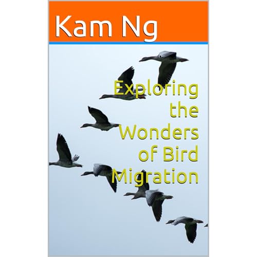 Exploring the Wonders of Bird Migration by Kam Ng