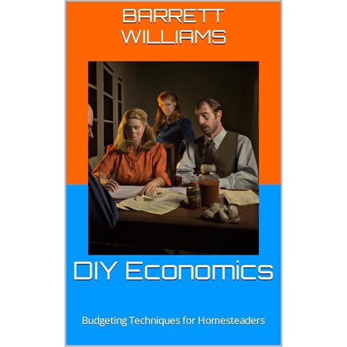 DIY Economics by Barrett Williams