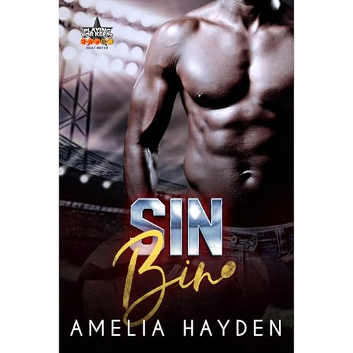 Sin Bin by Amelia Hayden