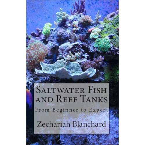 Saltwater Fish and Reef Tanks by Zechariah Blanchard