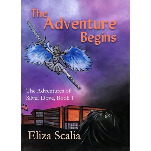 The Adventure Begins