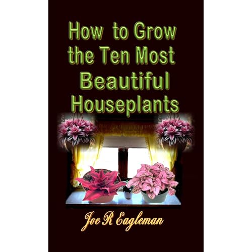 How to Grow the Ten Most Beautiful Houseplants