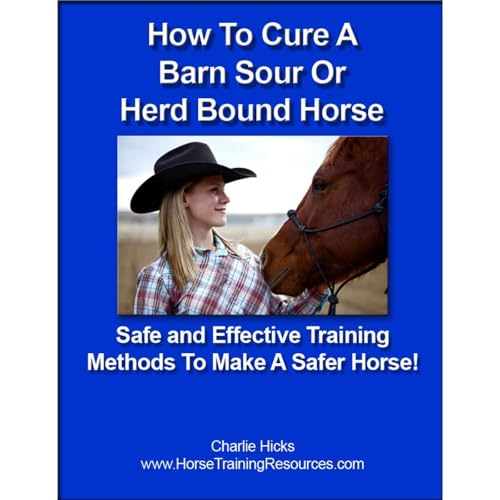 How To Cure A Barn Sour or Herd Bound Horse - Safe and Effective Training Methods To Make A Safer Horse!