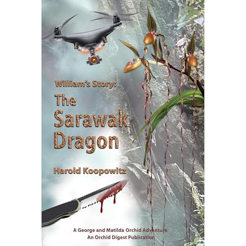 William’s Story: The Sarawak Dragon