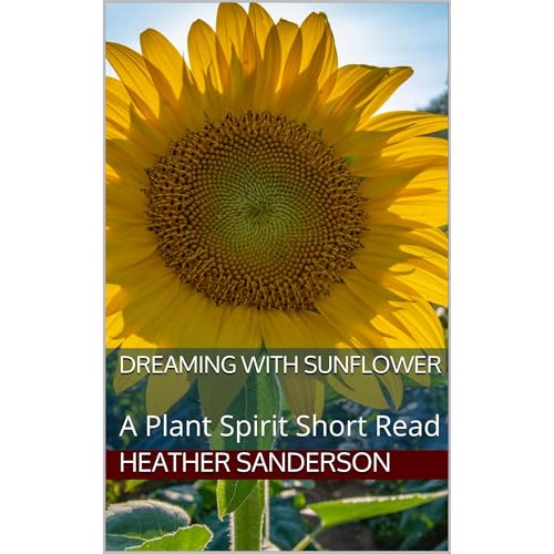 Dreaming with Sunflower