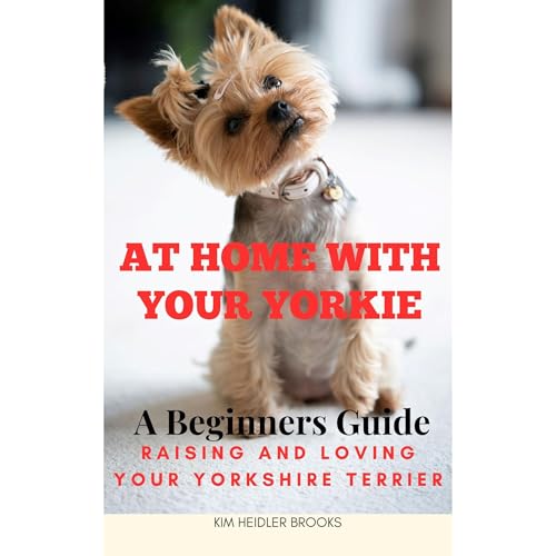 At Home With Your Yorkie