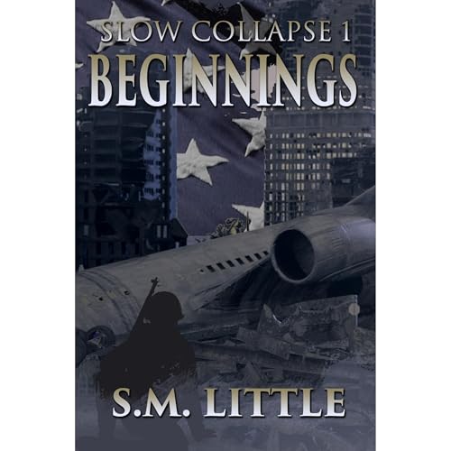 SLOW COLLAPSE by S.M. Little