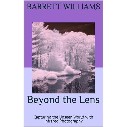 Beyond the Lens by Barrett Williams