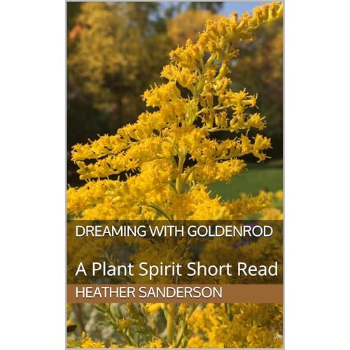 Dreaming with Goldenrod