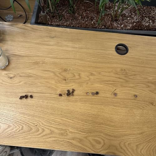 Tal's Surfing Podcast by Tal Raviv