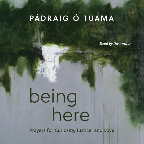 Being Here by Pádraig Ó Tuama