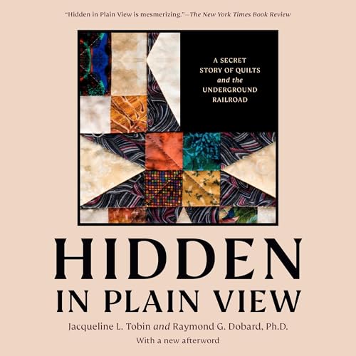 Hidden in Plain View by Jacqueline L. Tobin