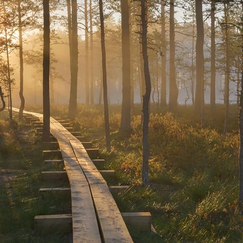 Nature Podcast on Amazon by shakDDDDDti singh