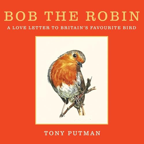 Bob the Robin by Tony Putman