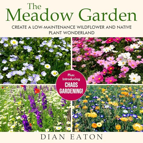 The Meadow Garden