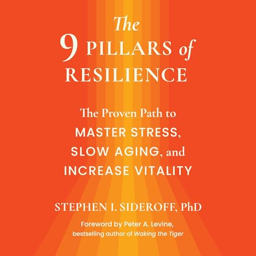 The 9 Pillars of Resilience by Dr. Stephen I. Sideroff