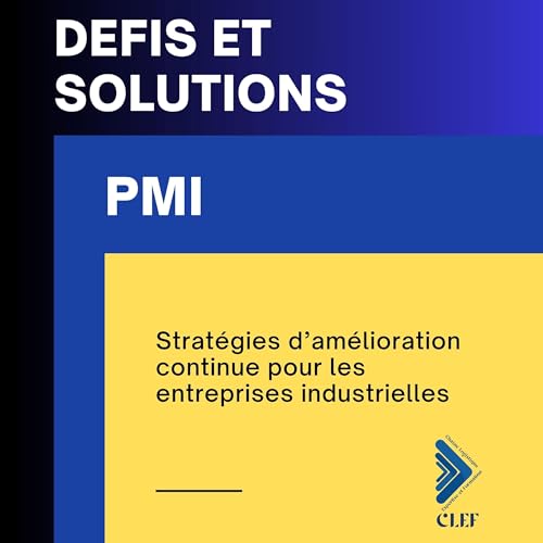 PMI - Défis et Solutions