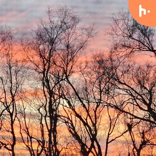 Tarot & Oracle Card Readings’s First Podcast by Tarot & Oracle Card Readings