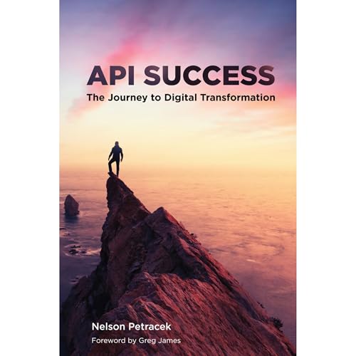 API Success by Nelson Petracek
