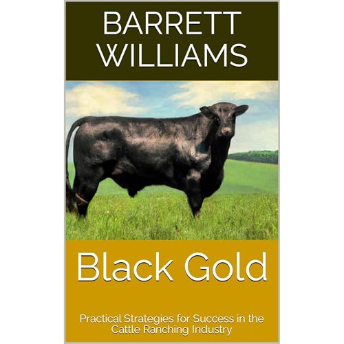 Black Gold by Barrett Williams