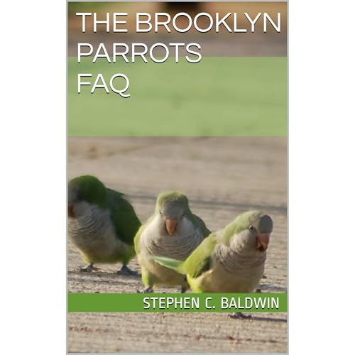 The Brooklyn Parrots FAQ by Stephen C. Baldwin