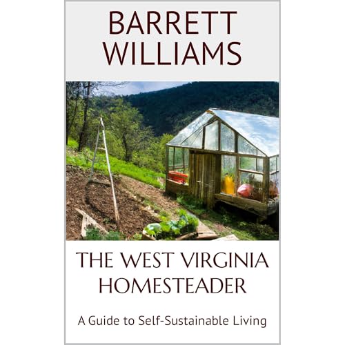 The West Virginia Homesteader by Barrett Williams