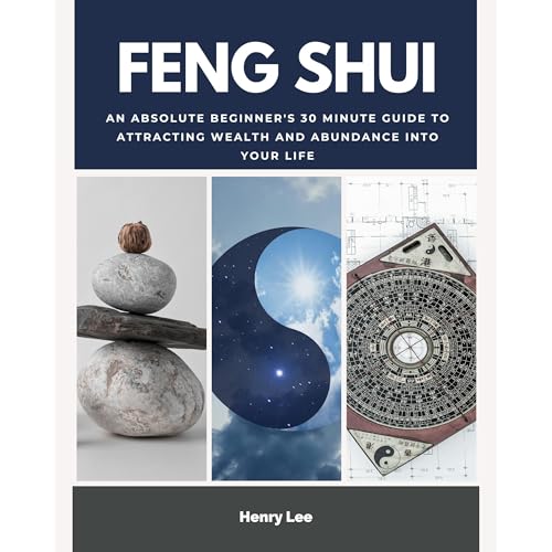 Feng Shui: An Absolute Beginner's 30 Minute Guide to Attracting Wealth and Abundance into Your Life