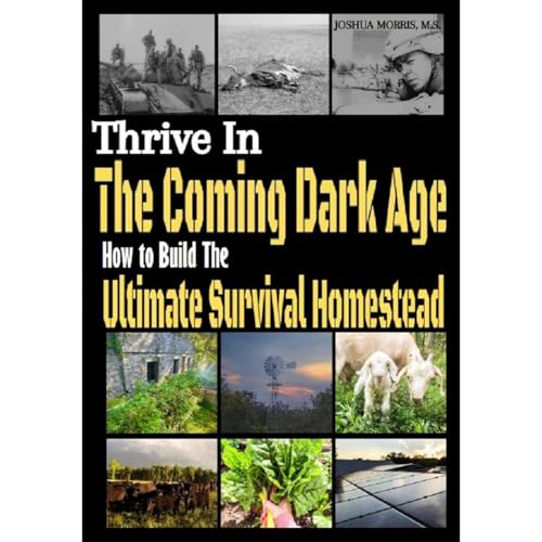 Thrive in the Coming Dark Age