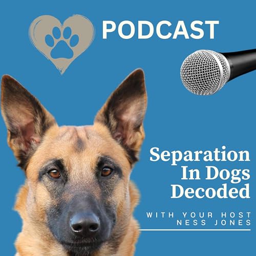 Separation Anxiety In Dogs Decoded hosted by Ness Jones